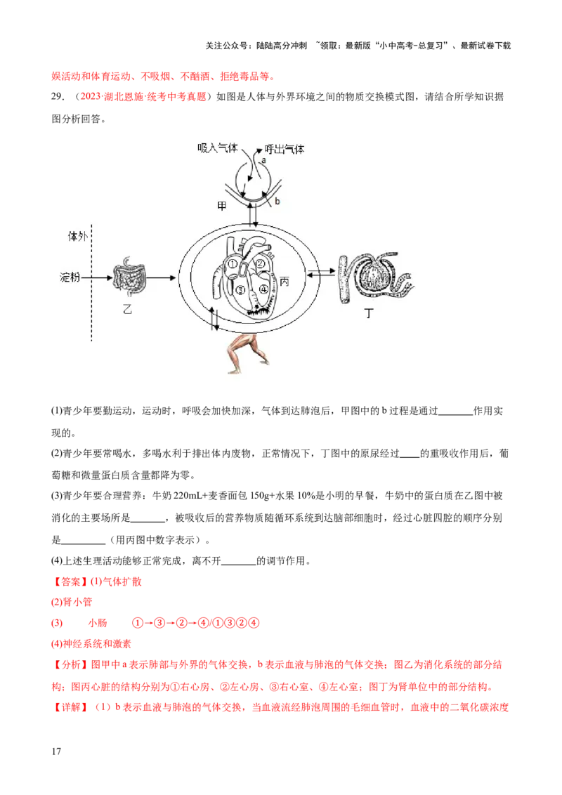 专题13人体内废物的排出（解析版）_02中考总复习（2026版更新中）_08-生物-中考总复习_2024年中考复习资料_一轮复习_❤备战2024年中考生物一轮复习考点帮（全国通用）_练习