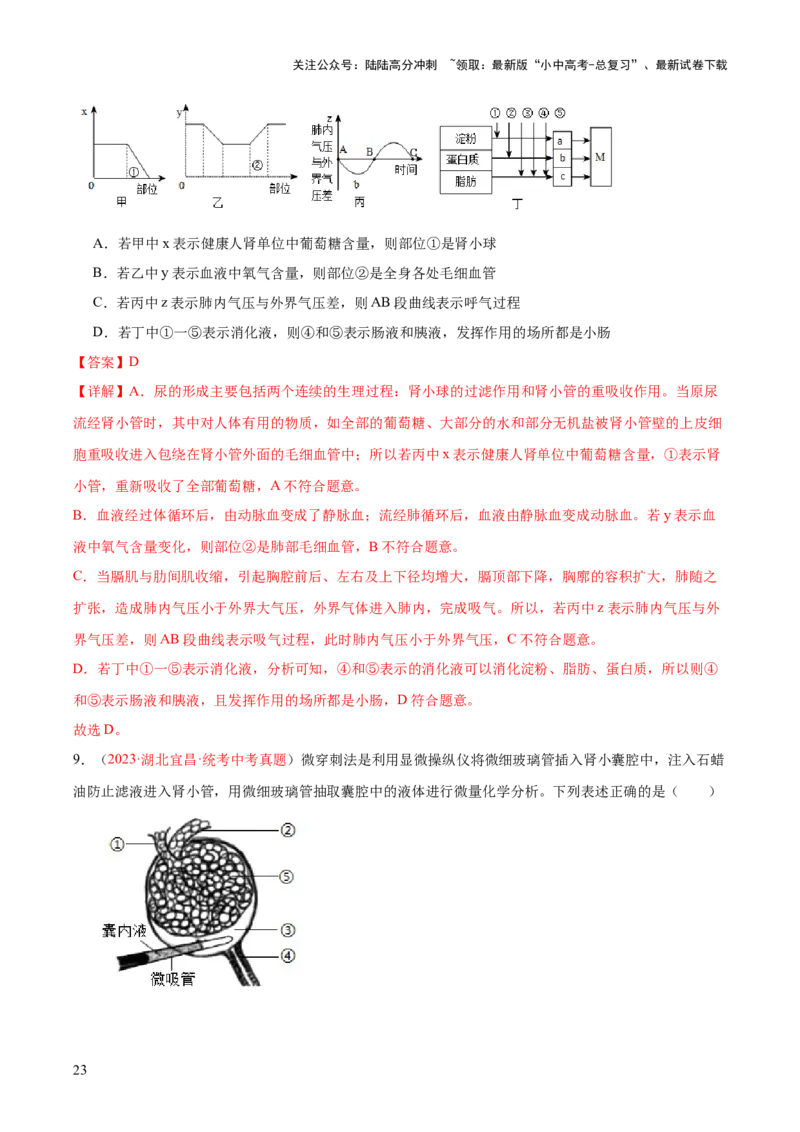 专题13人体内废物的排出（解析版）_02中考总复习（2026版更新中）_08-生物-中考总复习_2024年中考复习资料_一轮复习_❤备战2024年中考生物一轮复习考点帮（全国通用）_练习