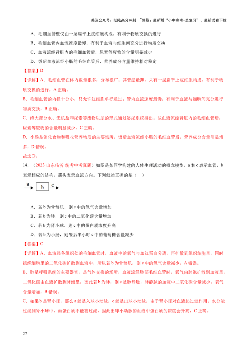专题13人体内废物的排出（解析版）_02中考总复习（2026版更新中）_08-生物-中考总复习_2024年中考复习资料_一轮复习_❤备战2024年中考生物一轮复习考点帮（全国通用）_练习