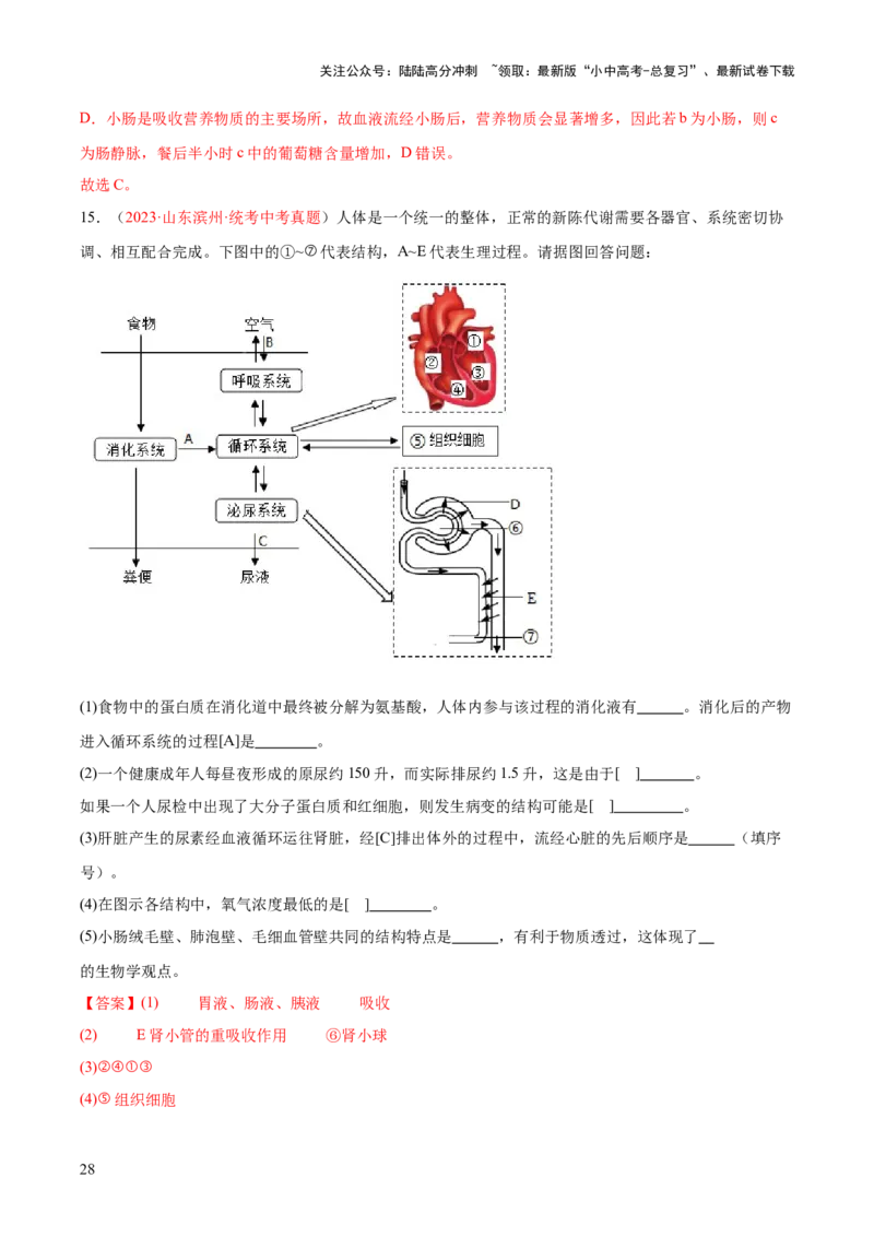 专题13人体内废物的排出（解析版）_02中考总复习（2026版更新中）_08-生物-中考总复习_2024年中考复习资料_一轮复习_❤备战2024年中考生物一轮复习考点帮（全国通用）_练习