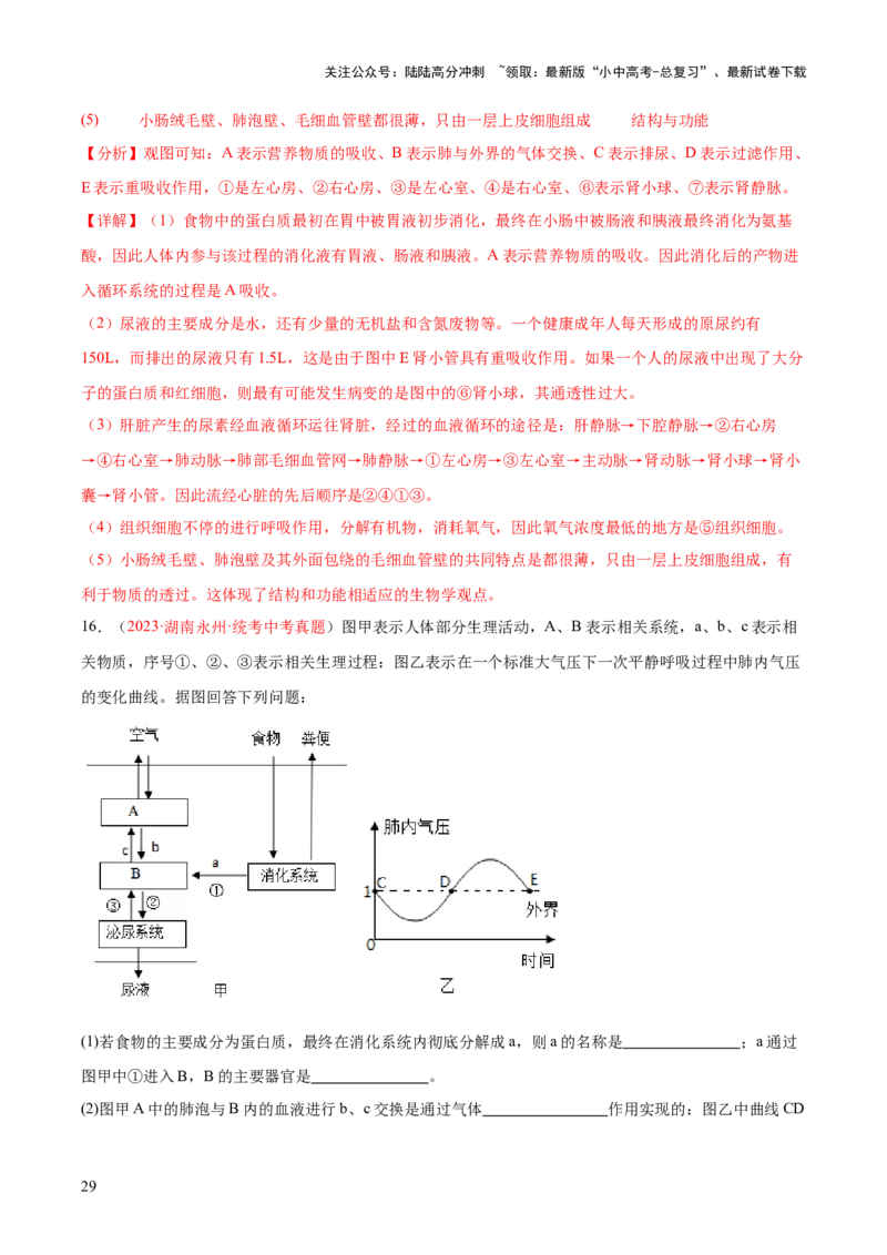 专题13人体内废物的排出（解析版）_02中考总复习（2026版更新中）_08-生物-中考总复习_2024年中考复习资料_一轮复习_❤备战2024年中考生物一轮复习考点帮（全国通用）_练习