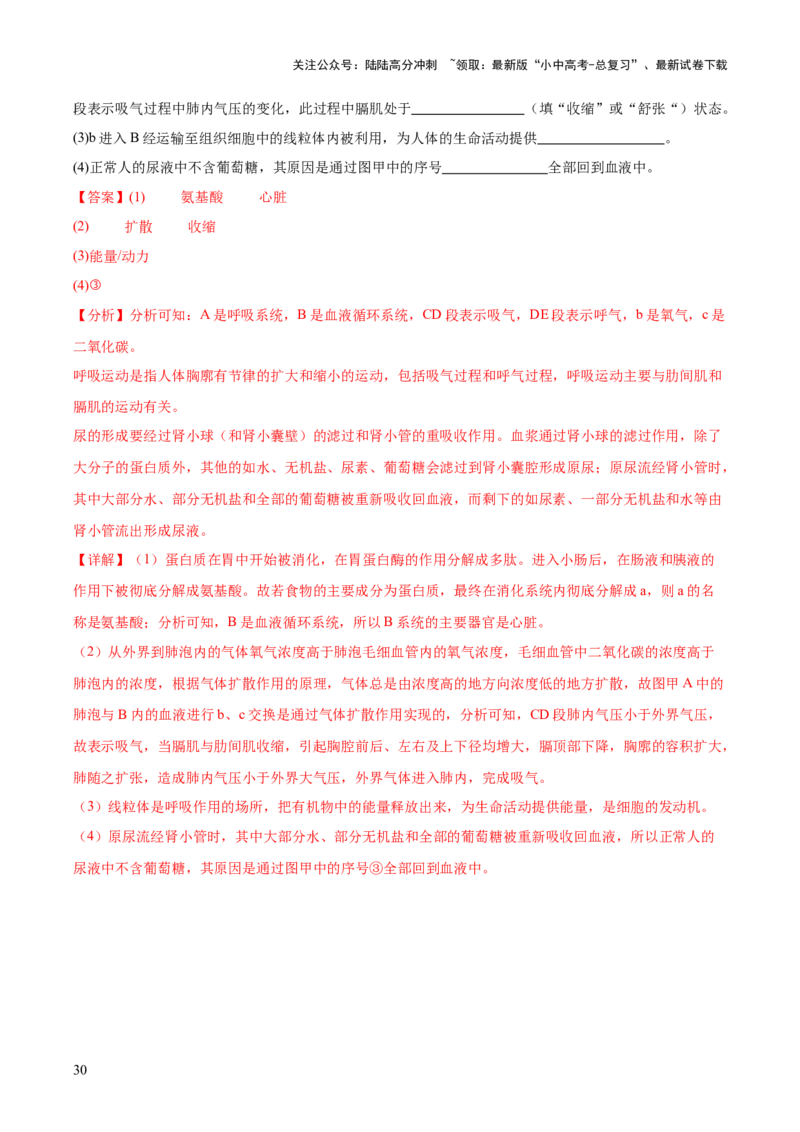 专题13人体内废物的排出（解析版）_02中考总复习（2026版更新中）_08-生物-中考总复习_2024年中考复习资料_一轮复习_❤备战2024年中考生物一轮复习考点帮（全国通用）_练习