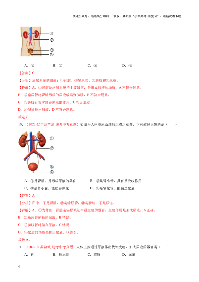 专题13人体内废物的排出（解析版）_02中考总复习（2026版更新中）_08-生物-中考总复习_2024年中考复习资料_一轮复习_❤备战2024年中考生物一轮复习考点帮（全国通用）_练习