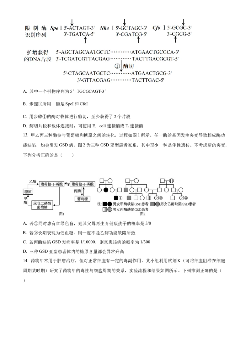 2023年高考生物真题（重庆自主命题）（原卷版）_全国卷+地方卷_6.生物_1.生物高考真题试卷_2023年高考-生物_2023年重庆自主命题