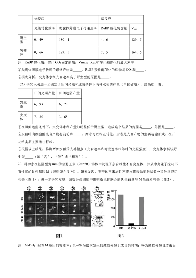 2023年高考生物真题（重庆自主命题）（原卷版）_全国卷+地方卷_6.生物_1.生物高考真题试卷_2023年高考-生物_2023年重庆自主命题