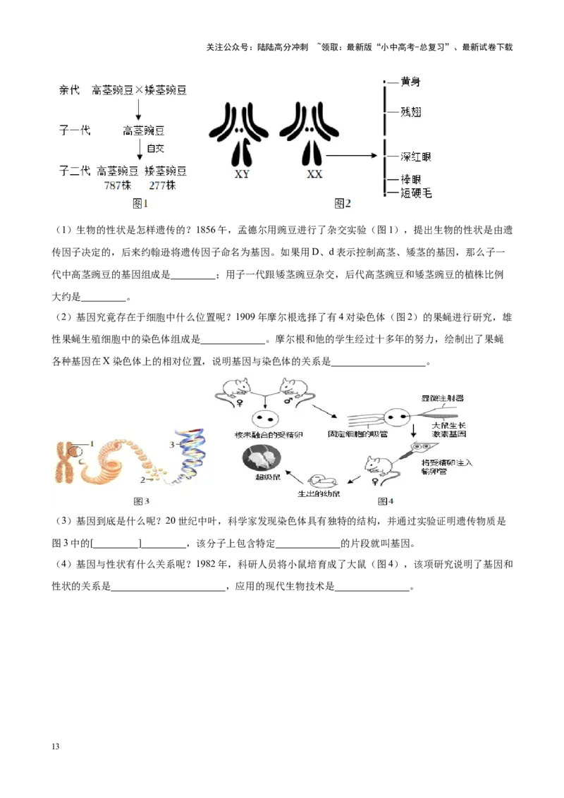 专题15&nbsp;生物技术（原卷版）_02中考总复习（2026版更新中）_08-生物-中考总复习_2024年中考复习资料_专项复习_完三年（2021-2023）中考生物真题分项汇编（全国通用）