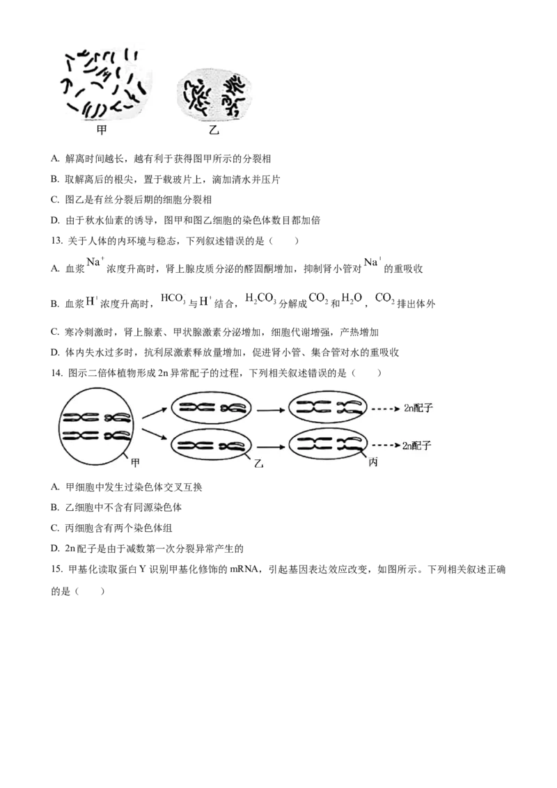 2025年高考生物真题（江苏自主命题）（原卷版）_全国卷+地方卷_6.生物_1.生物高考真题试卷_2025年高考-生物_2025年江苏自主命题