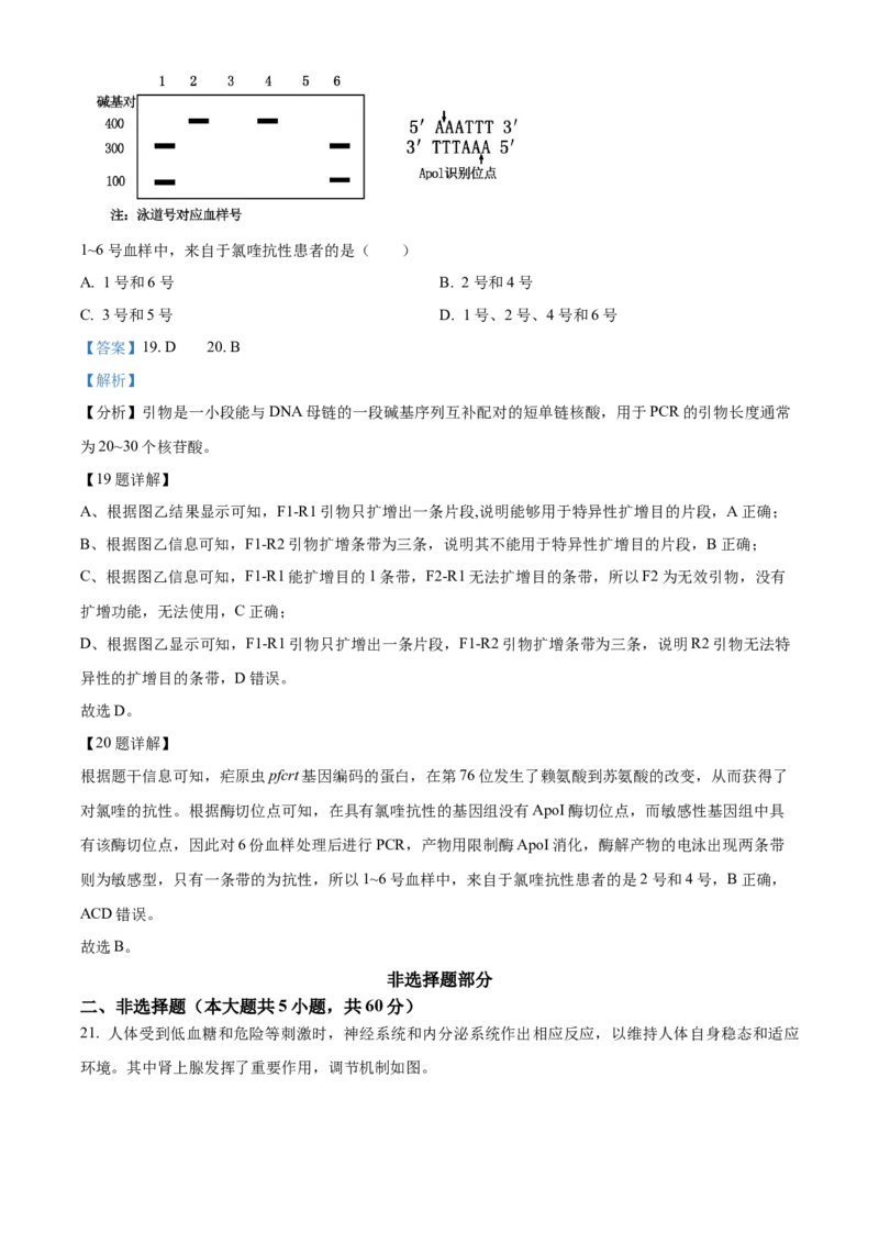2024年浙江高考生物06月（解析版）_全国卷+地方卷_6.生物_1.生物高考真题试卷_2024年高考-生物_2024年浙江自主命题-生物