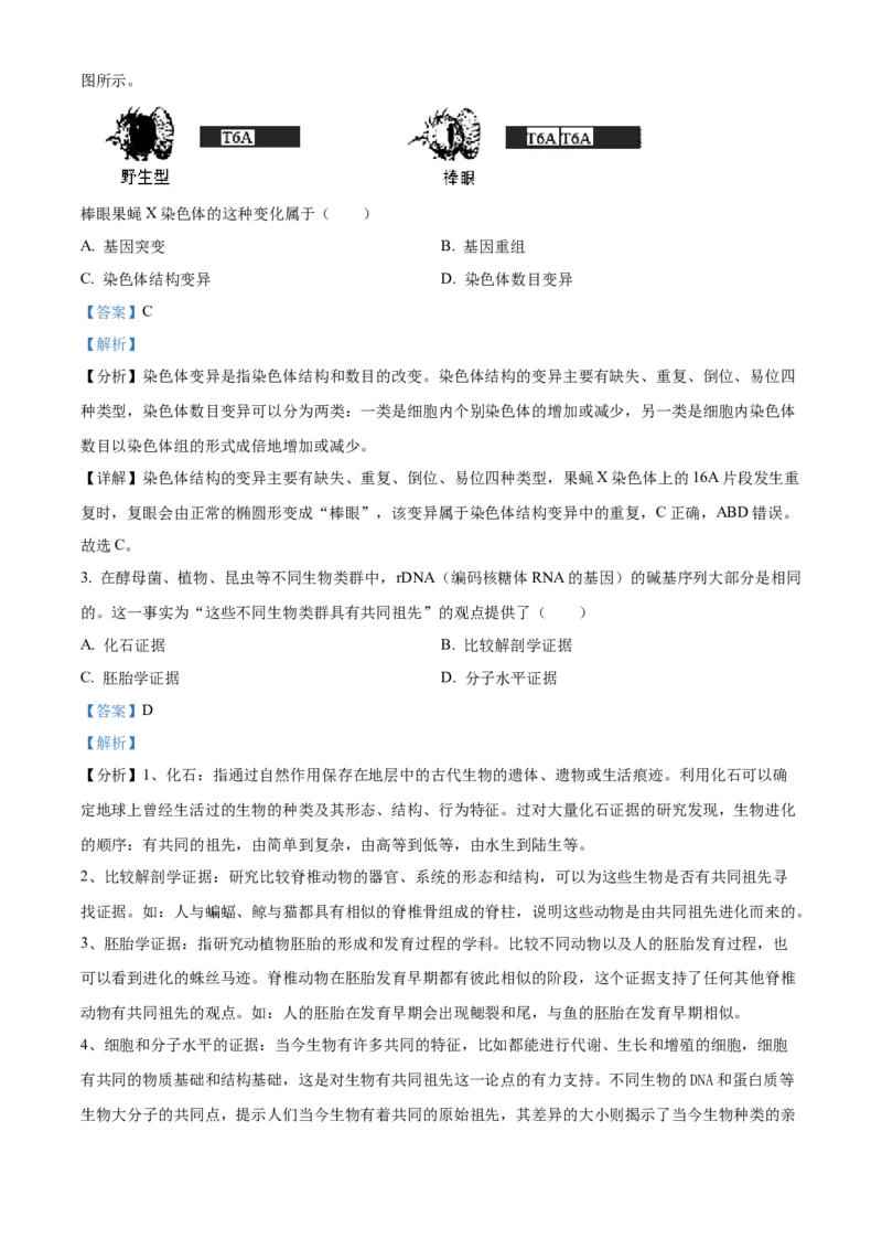 2024年浙江高考生物06月（解析版）_全国卷+地方卷_6.生物_1.生物高考真题试卷_2024年高考-生物_2024年浙江自主命题-生物