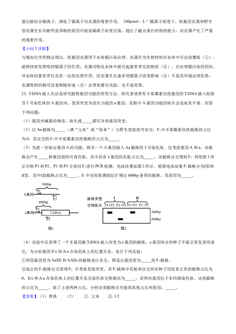 2025年高考生物真题（河北自主命题）（解析版）_全国卷+地方卷_6.生物_1.生物高考真题试卷_2025年高考-生物_2025年河北自主命题