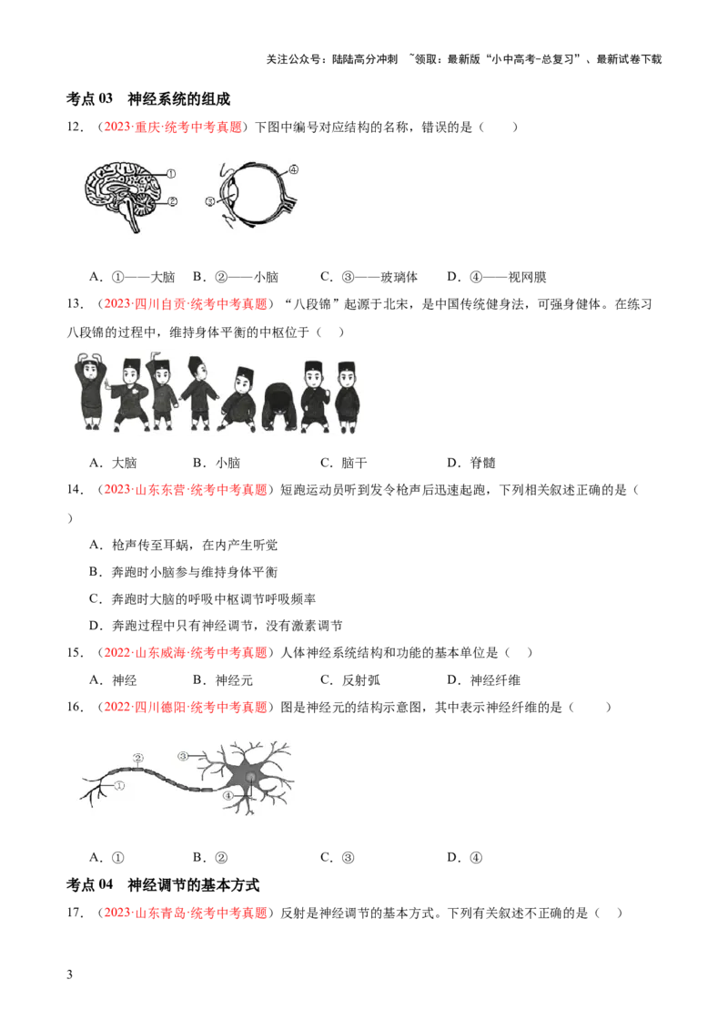 专题14人体生命活动的调节（原卷版）_02中考总复习（2026版更新中）_08-生物-中考总复习_2024年中考复习资料_一轮复习_❤备战2024年中考生物一轮复习考点帮（全国通用）_练习