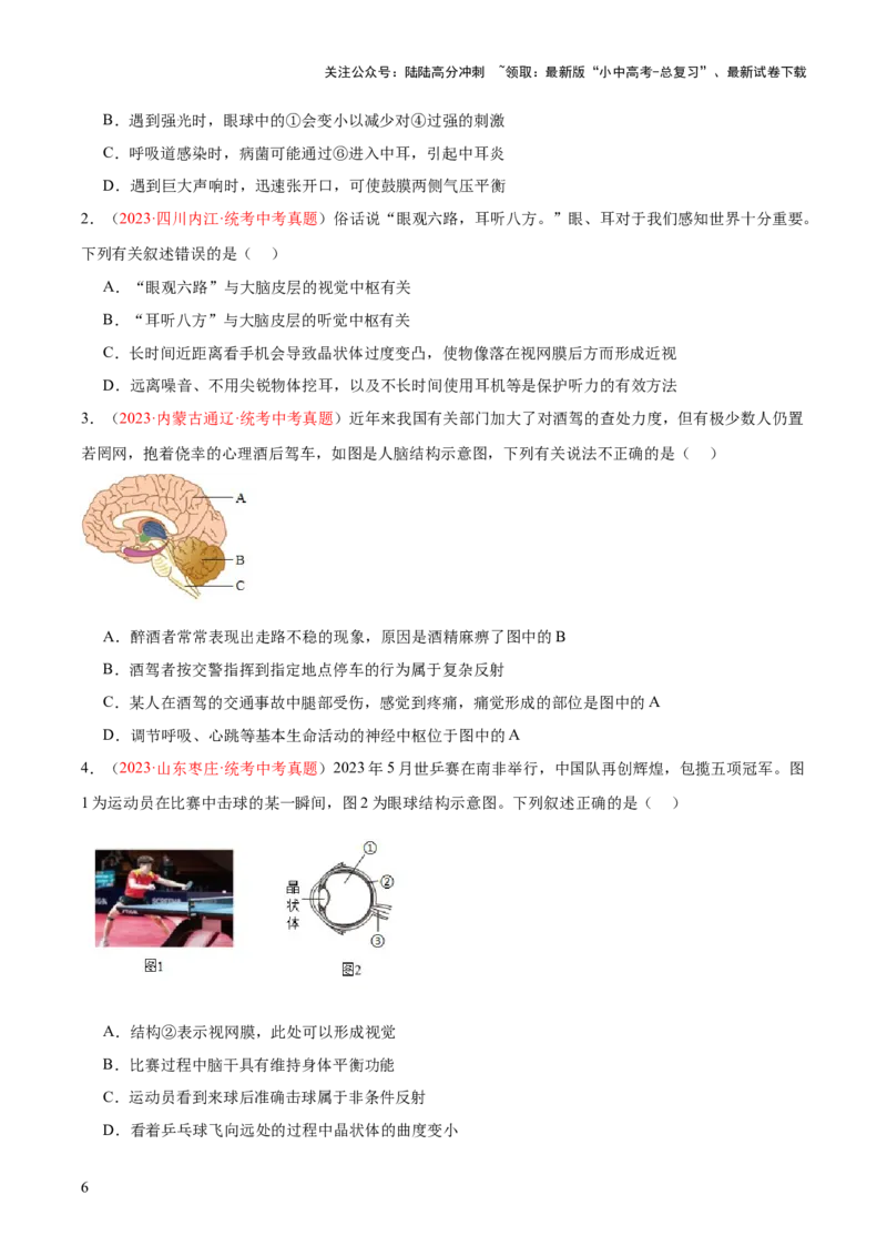 专题14人体生命活动的调节（原卷版）_02中考总复习（2026版更新中）_08-生物-中考总复习_2024年中考复习资料_一轮复习_❤备战2024年中考生物一轮复习考点帮（全国通用）_练习