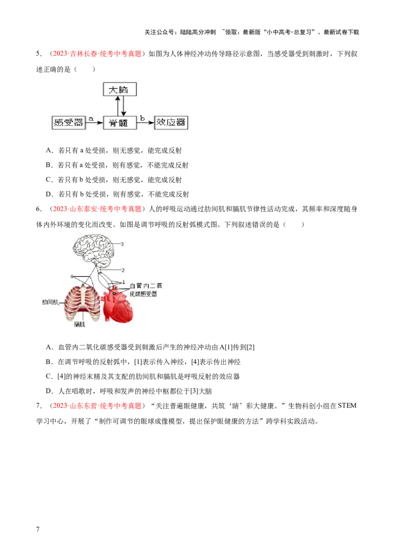 专题14人体生命活动的调节（原卷版）_02中考总复习（2026版更新中）_08-生物-中考总复习_2024年中考复习资料_一轮复习_❤备战2024年中考生物一轮复习考点帮（全国通用）_练习