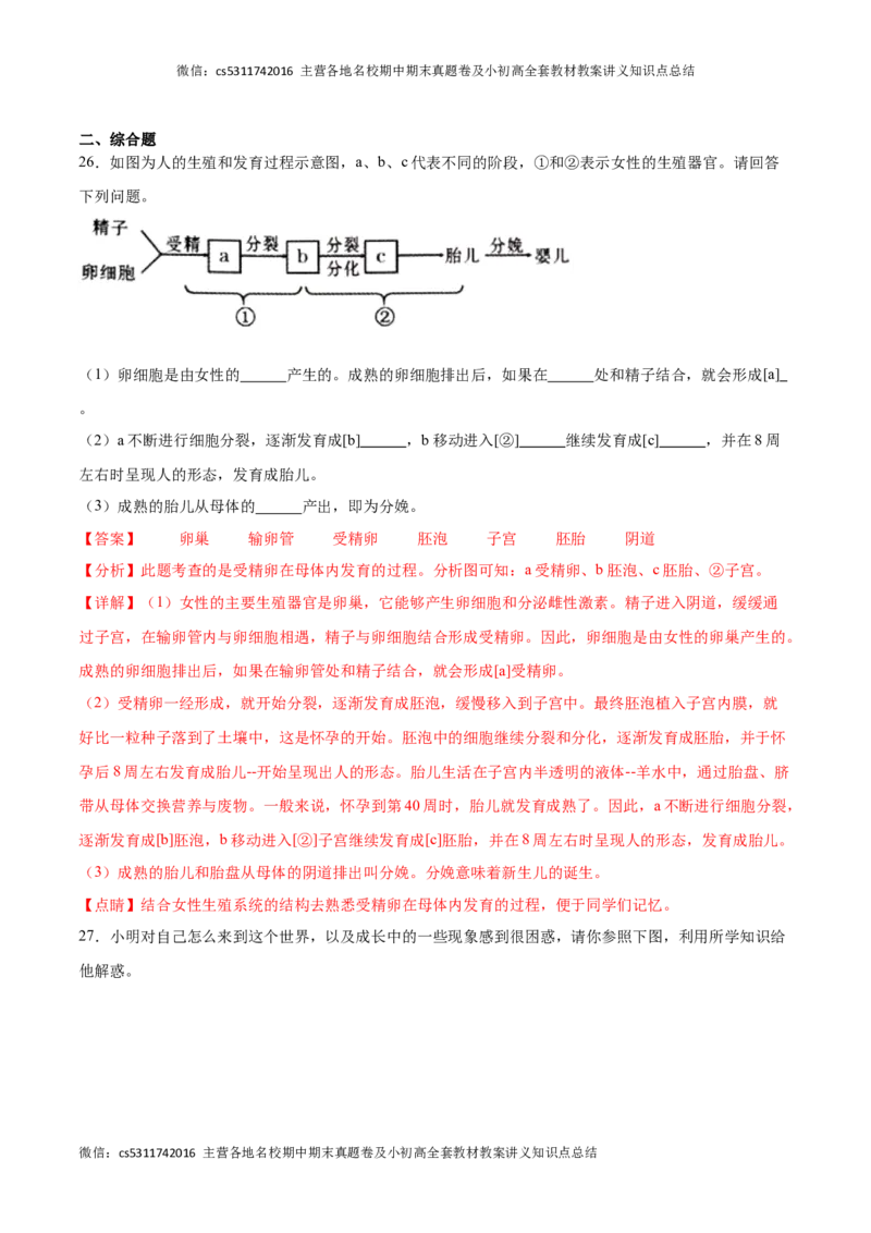 期中冲刺卷02（北京专用）（解析版）(1)_北京初中期末题_C605-京七八九_B京生物七八九_北京7下生物_2022-2024_北京生物7下期中