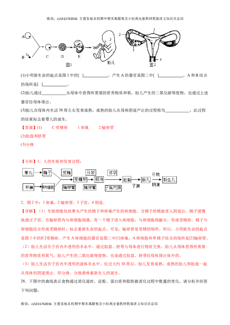 期中冲刺卷02（北京专用）（解析版）(1)_北京初中期末题_C605-京七八九_B京生物七八九_北京7下生物_2022-2024_北京生物7下期中