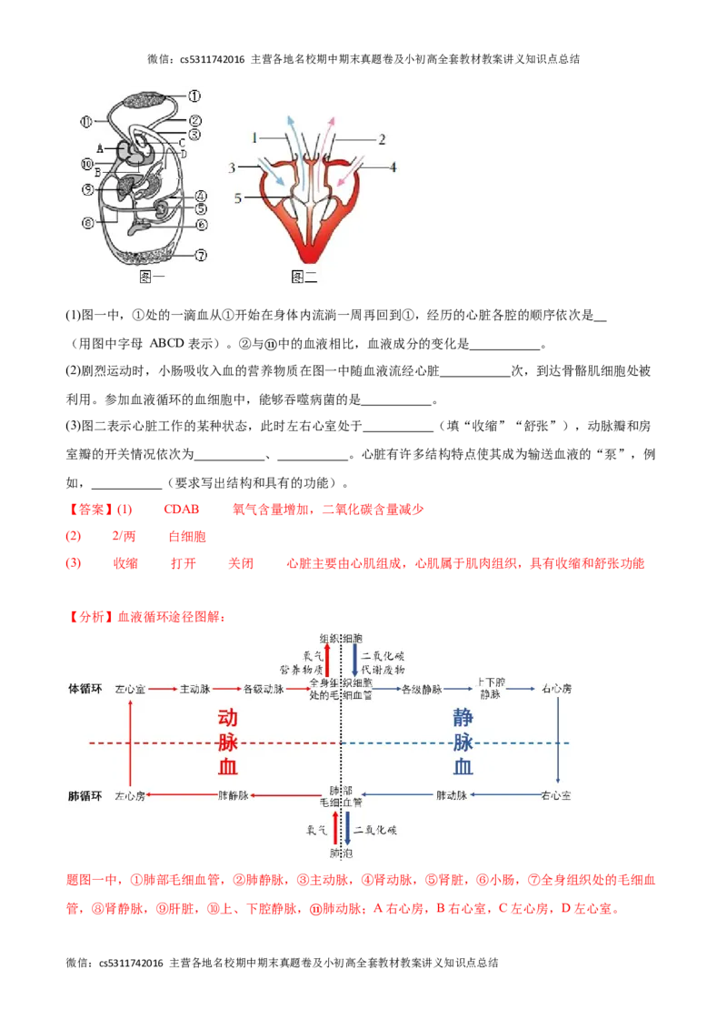 期中冲刺卷02（北京专用）（解析版）(1)_北京初中期末题_C605-京七八九_B京生物七八九_北京7下生物_2022-2024_北京生物7下期中