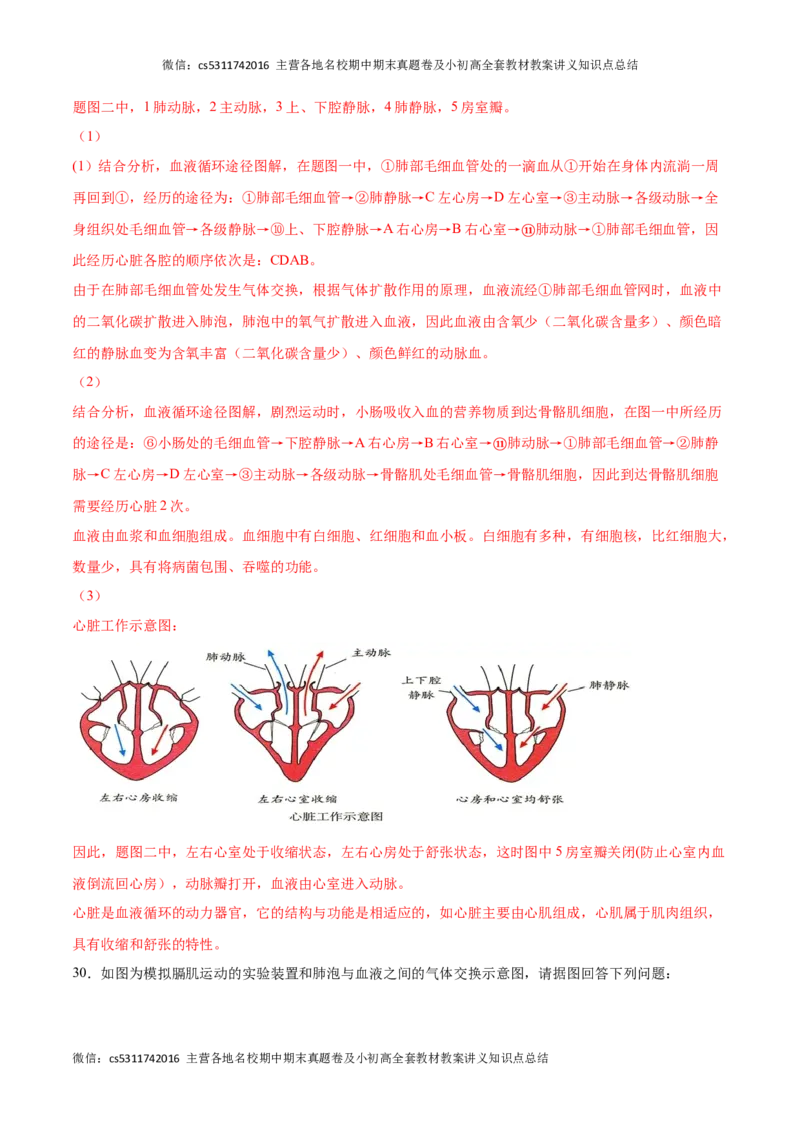 期中冲刺卷02（北京专用）（解析版）(1)_北京初中期末题_C605-京七八九_B京生物七八九_北京7下生物_2022-2024_北京生物7下期中