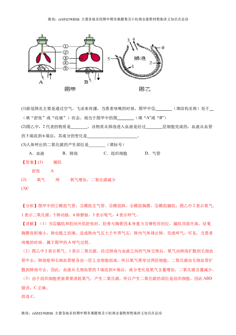 期中冲刺卷02（北京专用）（解析版）(1)_北京初中期末题_C605-京七八九_B京生物七八九_北京7下生物_2022-2024_北京生物7下期中