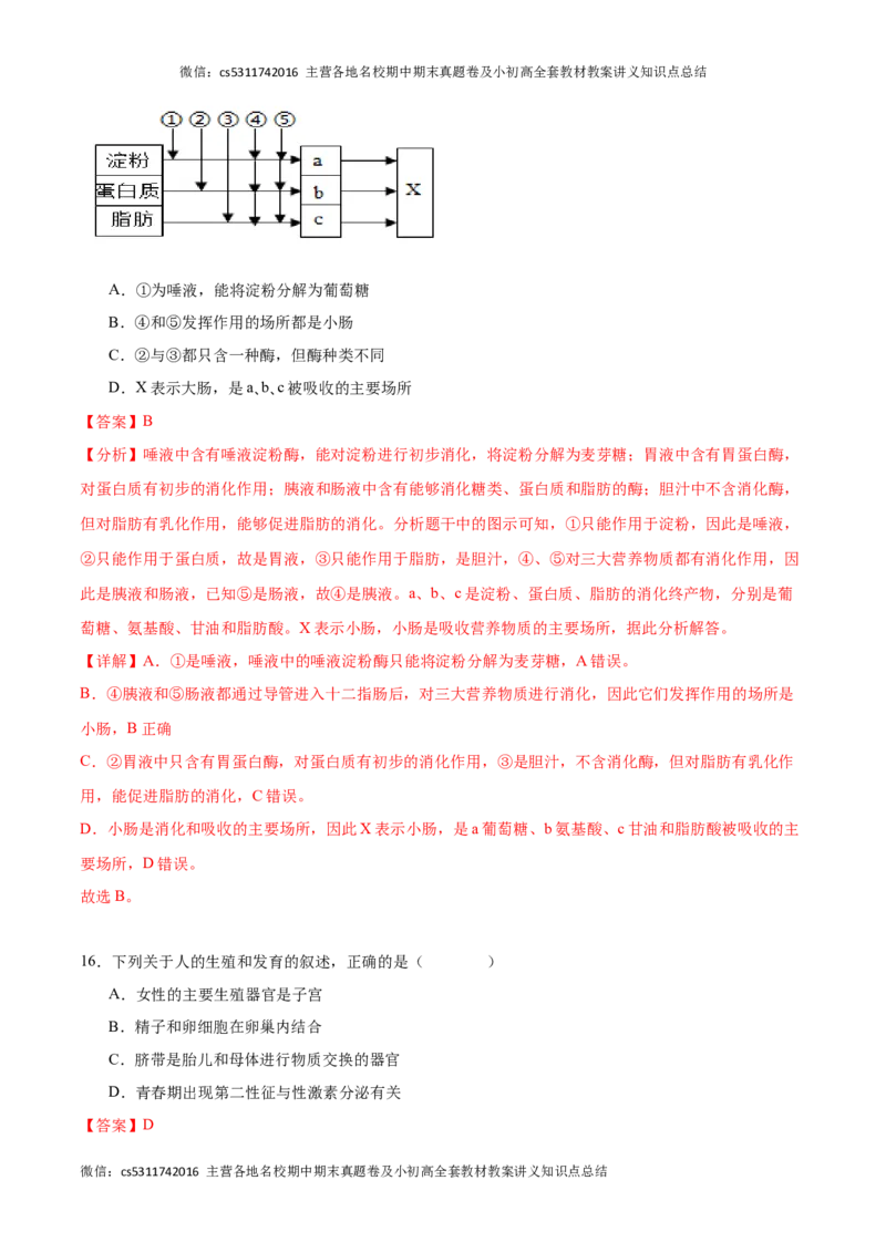 期中冲刺卷02（北京专用）（解析版）(1)_北京初中期末题_C605-京七八九_B京生物七八九_北京7下生物_2022-2024_北京生物7下期中