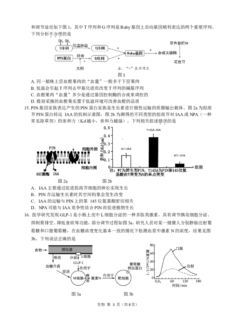 2022级高三试题（提交版2）_A1502026各地模拟卷（超值！）_11月_241121广东省汕头市金山中学2024-2025学年高三上学期期中考试（全科）
