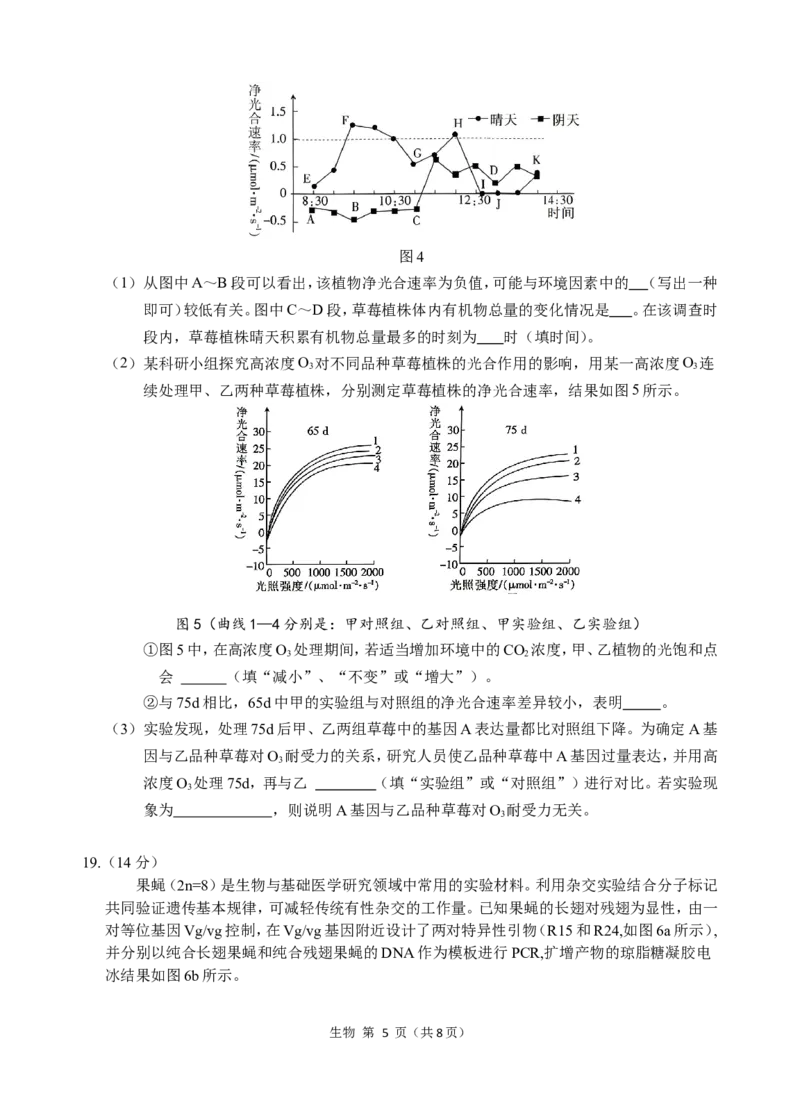 2022级高三试题（提交版2）_A1502026各地模拟卷（超值！）_11月_241121广东省汕头市金山中学2024-2025学年高三上学期期中考试（全科）