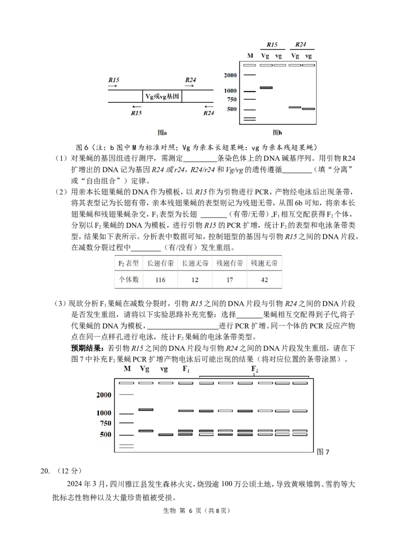 2022级高三试题（提交版2）_A1502026各地模拟卷（超值！）_11月_241121广东省汕头市金山中学2024-2025学年高三上学期期中考试（全科）
