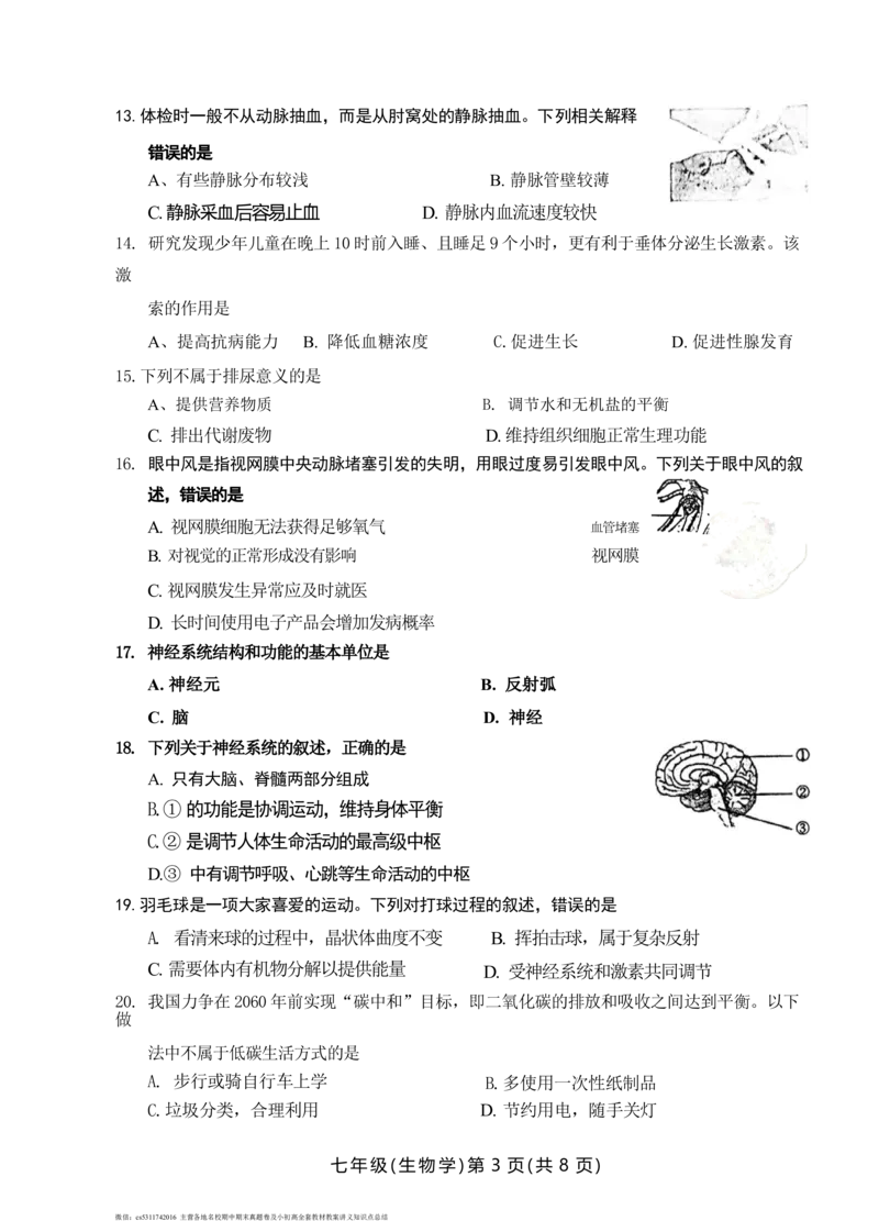 北京市海淀区2023-2024学年七年级下学期生物期末试卷(1)_北京初中期末题_C605-京七八九_B京生物七八九_北京7下生物_2022-2024_北京生物7下期末