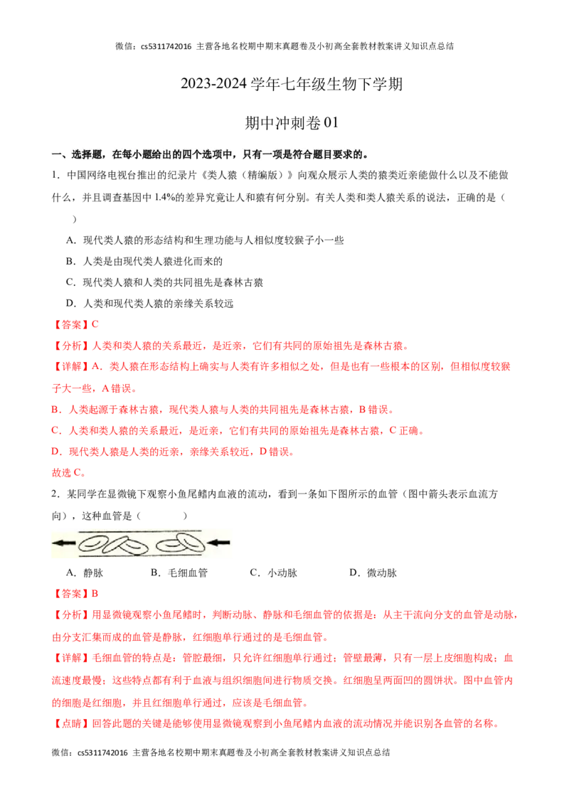 期中冲刺卷01（北京专用）（解析版）(1)_北京初中期末题_C605-京七八九_B京生物七八九_北京7下生物_2022-2024_北京生物7下期中