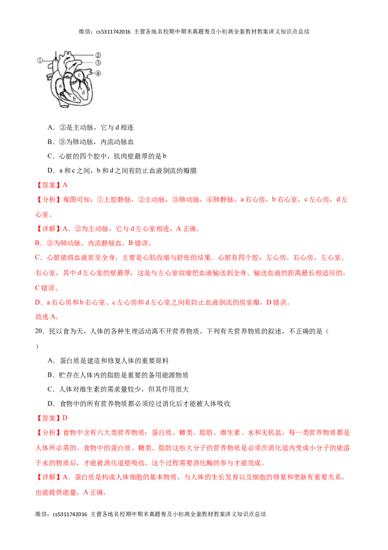 期中冲刺卷01（北京专用）（解析版）(1)_北京初中期末题_C605-京七八九_B京生物七八九_北京7下生物_2022-2024_北京生物7下期中