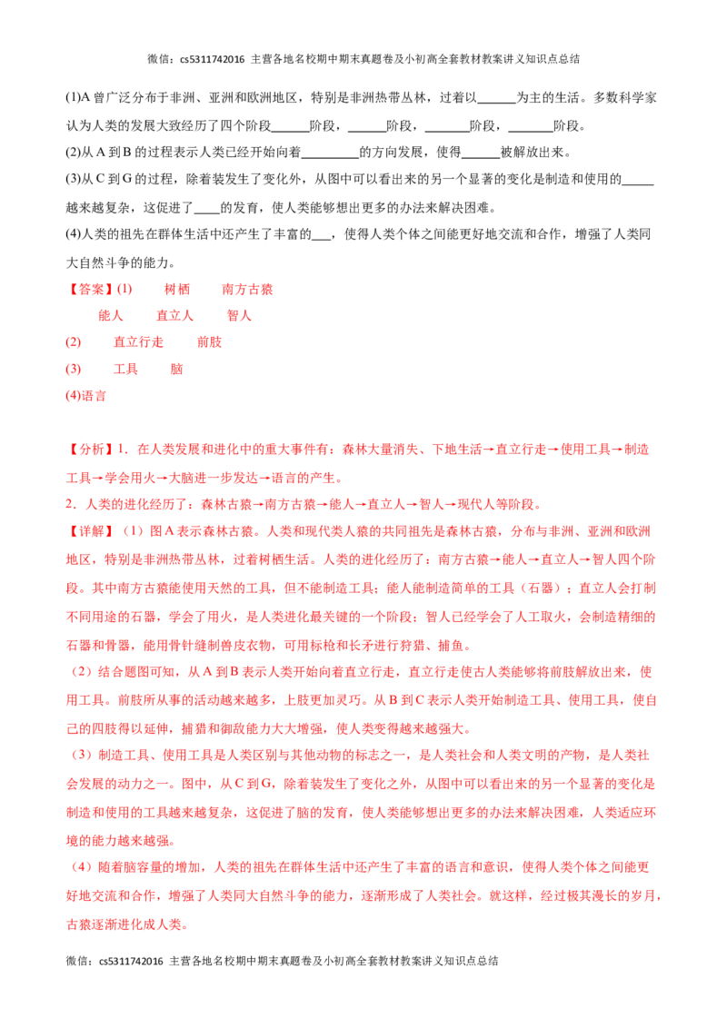 期中冲刺卷01（北京专用）（解析版）(1)_北京初中期末题_C605-京七八九_B京生物七八九_北京7下生物_2022-2024_北京生物7下期中