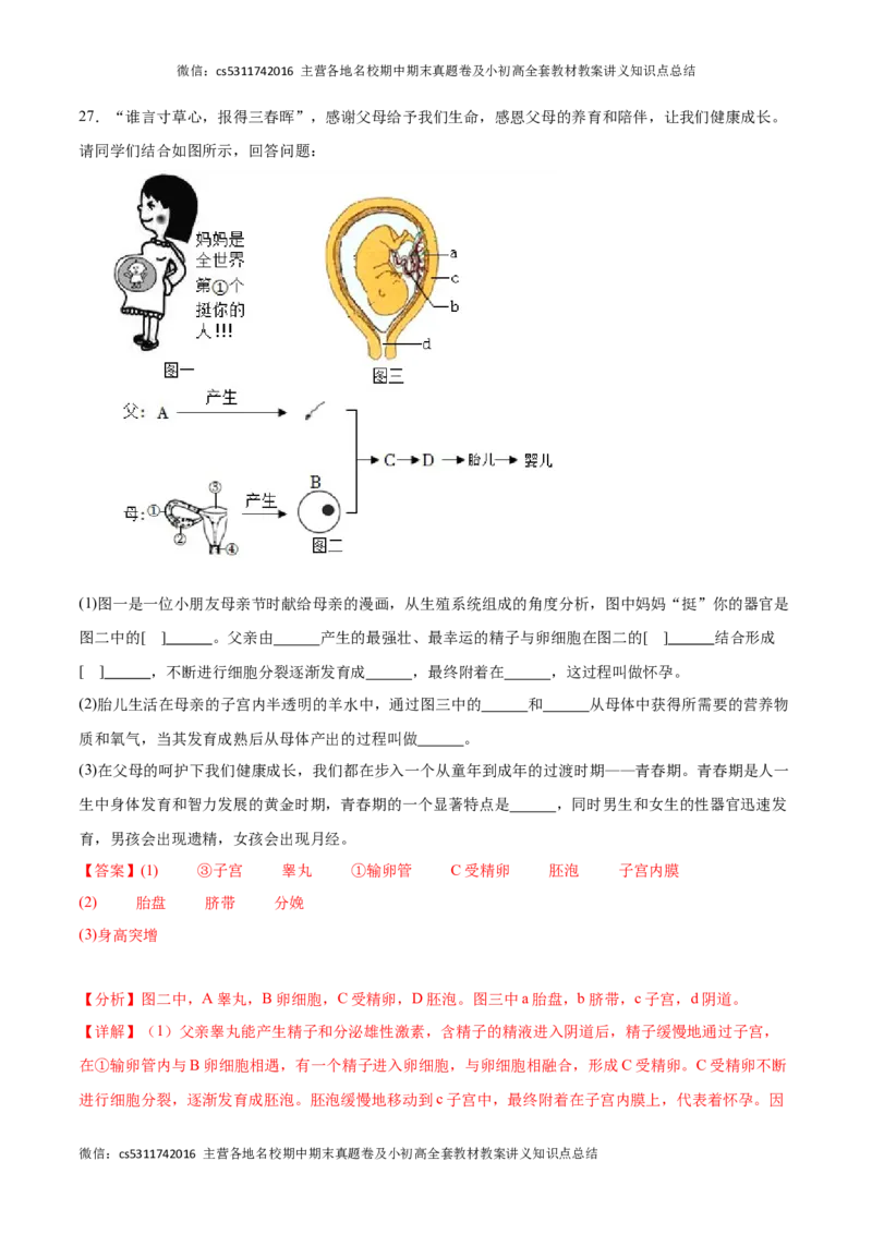 期中冲刺卷01（北京专用）（解析版）(1)_北京初中期末题_C605-京七八九_B京生物七八九_北京7下生物_2022-2024_北京生物7下期中