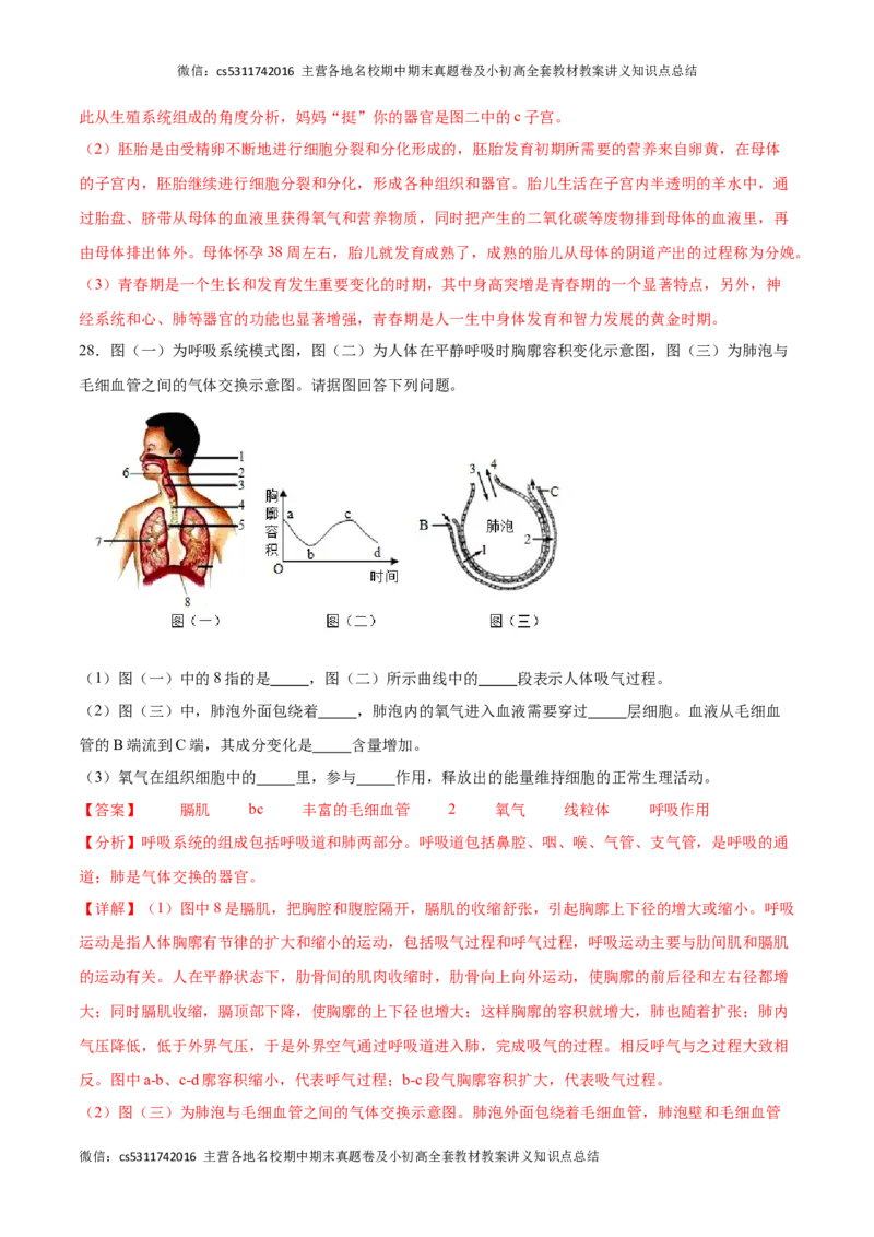 期中冲刺卷01（北京专用）（解析版）(1)_北京初中期末题_C605-京七八九_B京生物七八九_北京7下生物_2022-2024_北京生物7下期中
