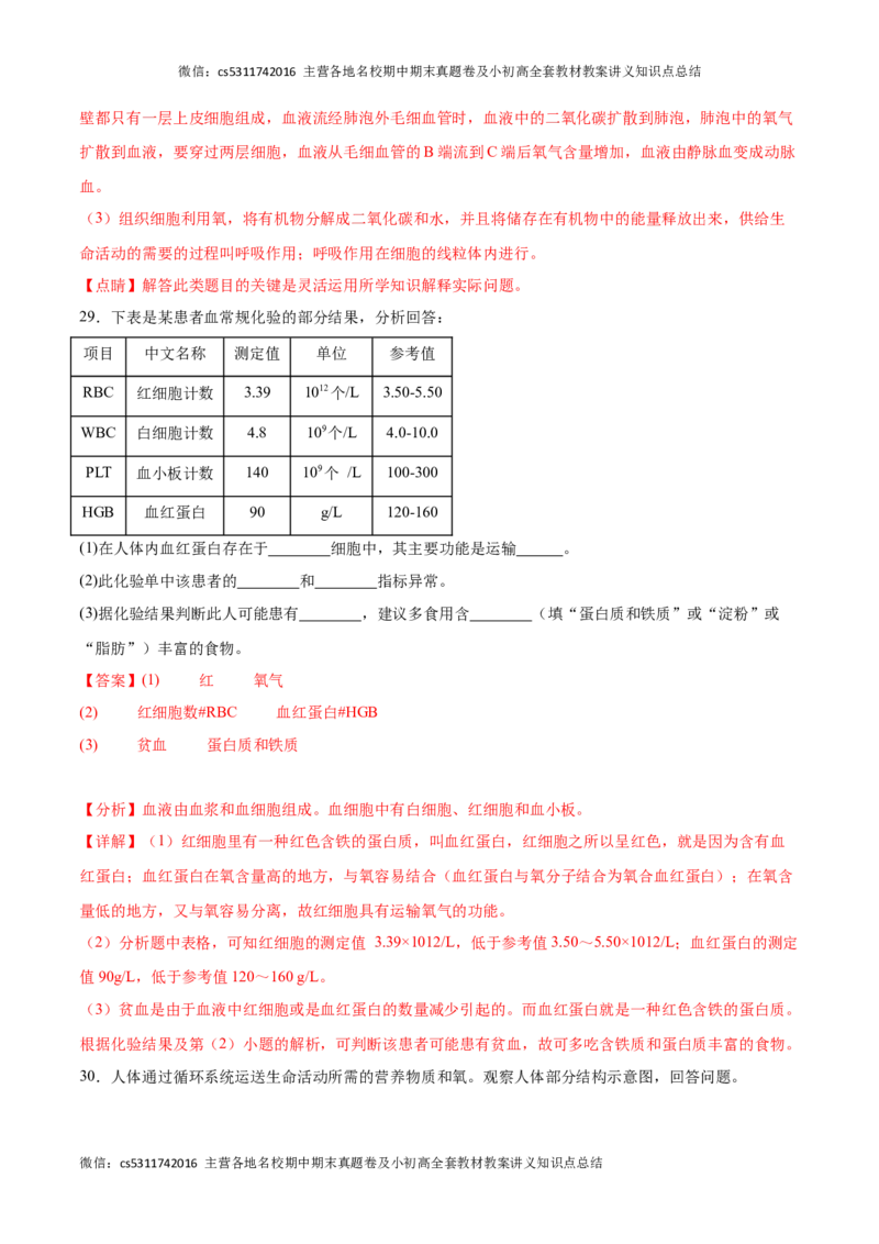 期中冲刺卷01（北京专用）（解析版）(1)_北京初中期末题_C605-京七八九_B京生物七八九_北京7下生物_2022-2024_北京生物7下期中