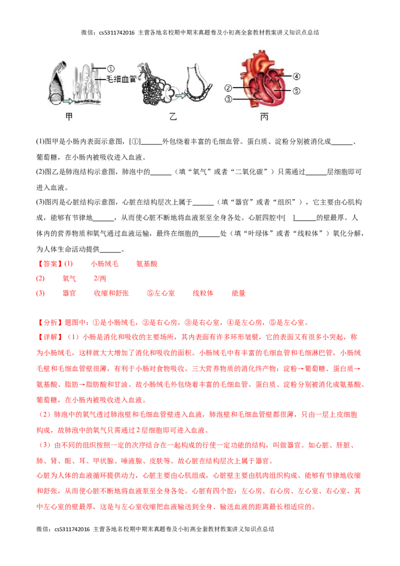 期中冲刺卷01（北京专用）（解析版）(1)_北京初中期末题_C605-京七八九_B京生物七八九_北京7下生物_2022-2024_北京生物7下期中