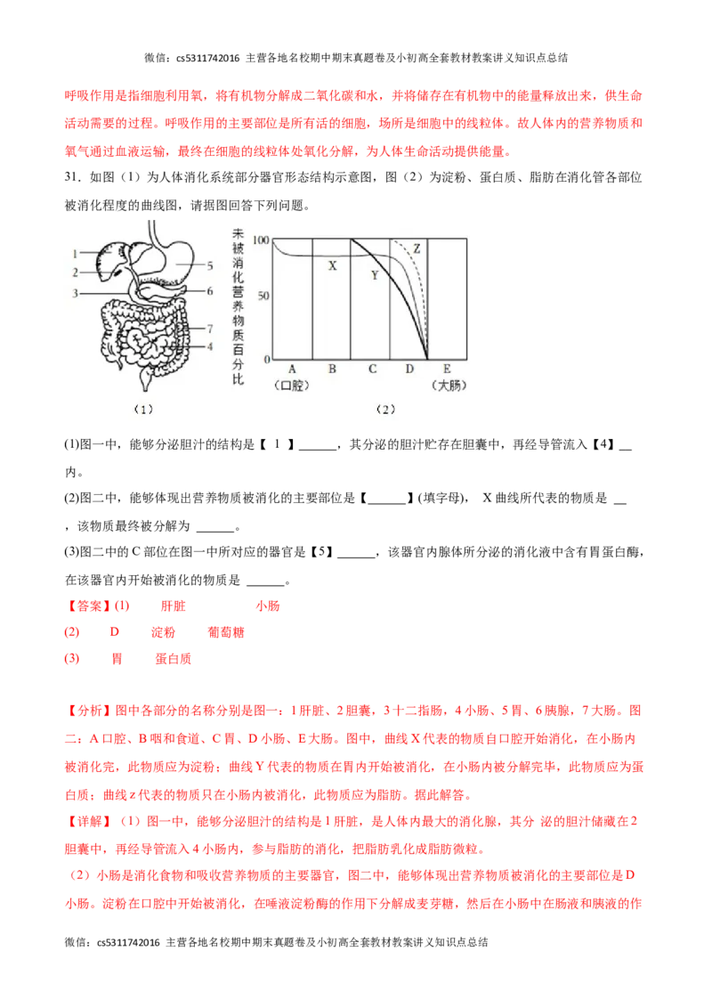 期中冲刺卷01（北京专用）（解析版）(1)_北京初中期末题_C605-京七八九_B京生物七八九_北京7下生物_2022-2024_北京生物7下期中