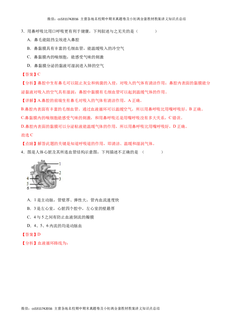 期中冲刺卷01（北京专用）（解析版）(1)_北京初中期末题_C605-京七八九_B京生物七八九_北京7下生物_2022-2024_北京生物7下期中