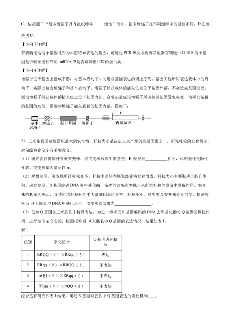 2024年高考生物真题（北京自主命题）（解析版）_全国卷+地方卷_6.生物_1.生物高考真题试卷_2024年高考-生物_2024年北京自主命题-生物