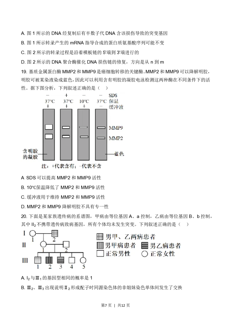 2023年高考生物试卷（辽宁）（空白卷）_A1502026各地模拟卷（超值！）_赠送：2008-2024全套高考真题_高考生物真题_新&middot;PDF版2008-2024&middot;高考生物真题_版本2：生物（按省份分类）2008-2024