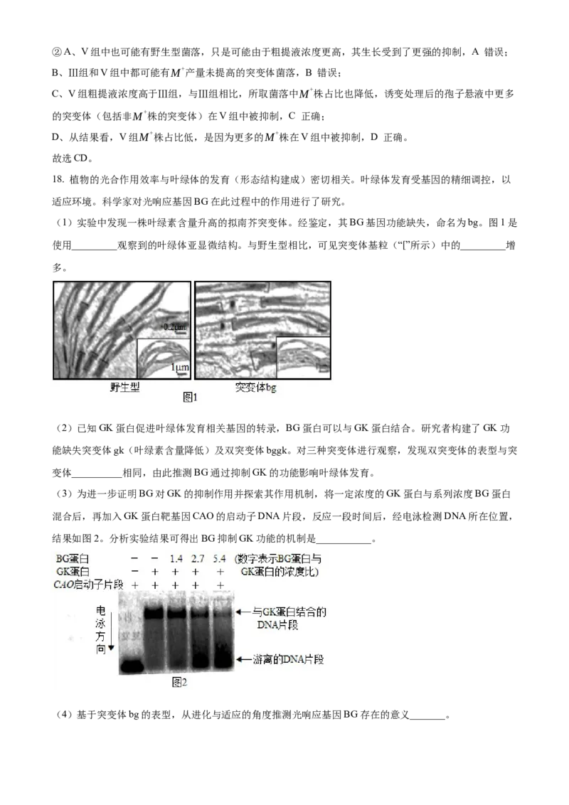 2025年高考生物真题（北京自主命题）（解析版）_全国卷+地方卷_6.生物_1.生物高考真题试卷_2025年高考-生物_2025年北京自主命题