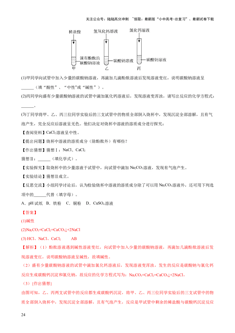 专题15物质的检验、鉴别与除杂（练习）-2024年中考化学一轮复习讲练测（全国通用）（解析版）_02中考总复习（2026版更新中）_05-化学-中考总复习_2024年中考复习资料_一轮复习资料