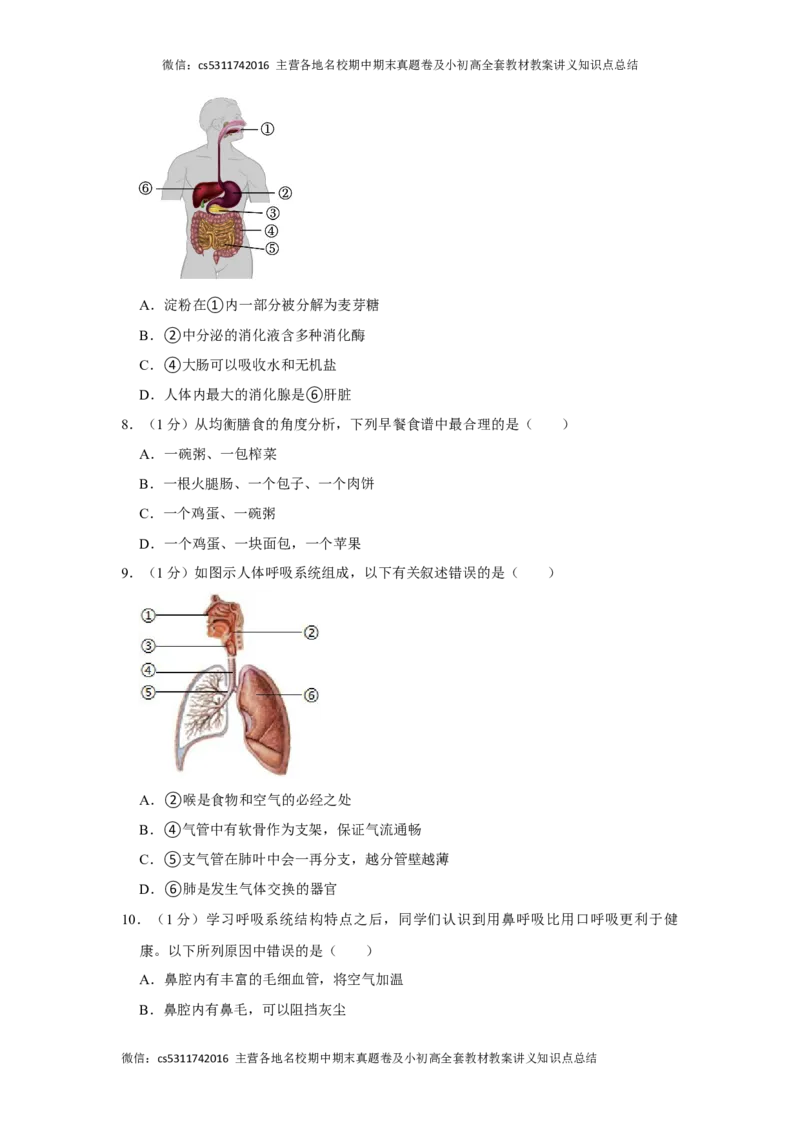 2022-2023学年北京市东城区七年级（下）期末生物试卷(1)_北京初中期末题_C605-京七八九_B京生物七八九_北京7下生物_2022-2024_北京生物7下期末