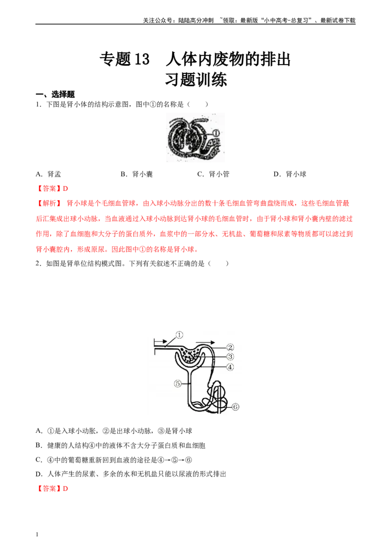 专题13人体内废物的排出（习题精练）-省心备考2024年中考生物一轮复习精讲精练（全国通用）（解析版）_02中考总复习（2026版更新中）_08-生物-中考总复习_2024年中考复习资料