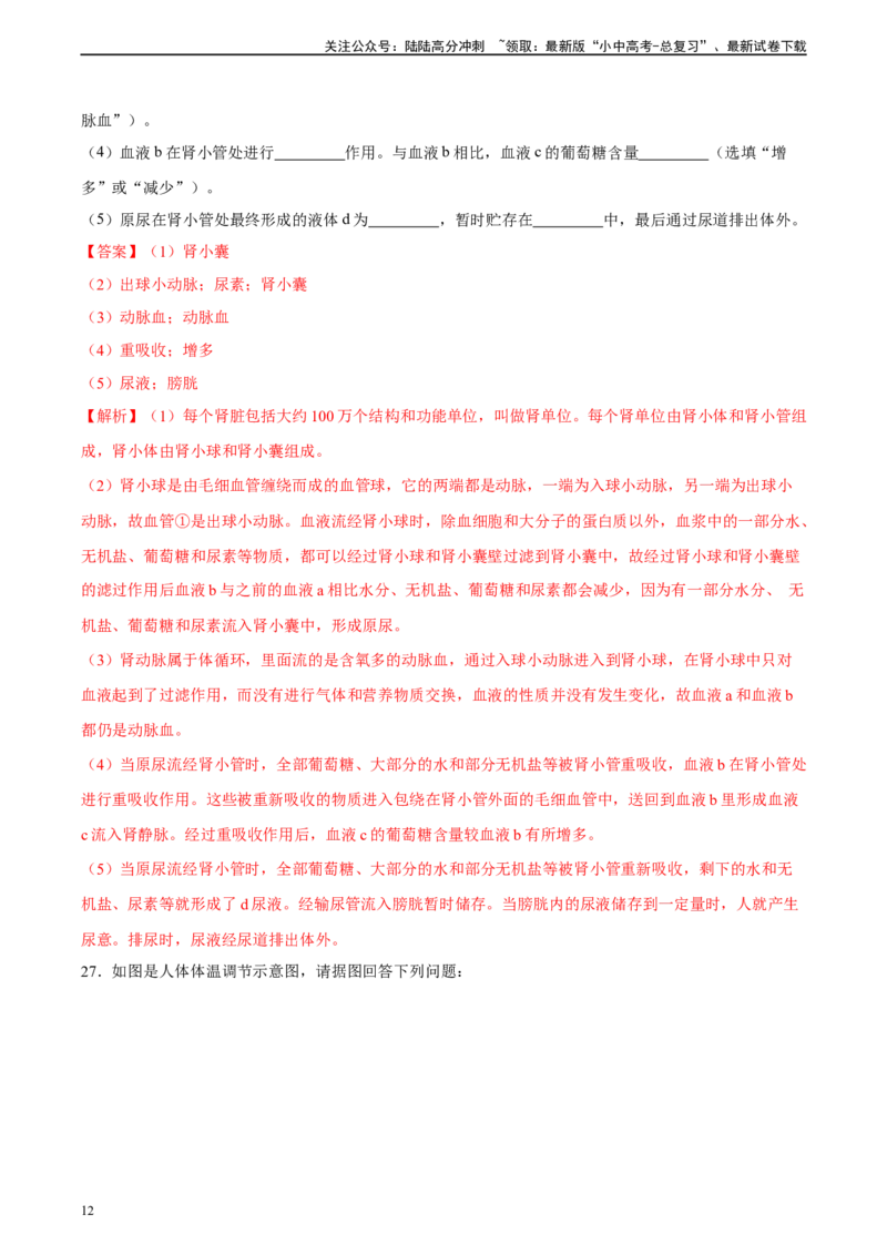 专题13人体内废物的排出（习题精练）-省心备考2024年中考生物一轮复习精讲精练（全国通用）（解析版）_02中考总复习（2026版更新中）_08-生物-中考总复习_2024年中考复习资料