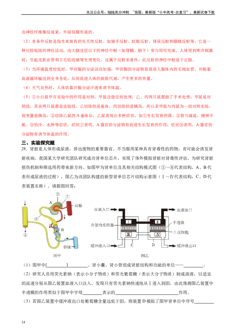 专题13人体内废物的排出（习题精练）-省心备考2024年中考生物一轮复习精讲精练（全国通用）（解析版）_02中考总复习（2026版更新中）_08-生物-中考总复习_2024年中考复习资料