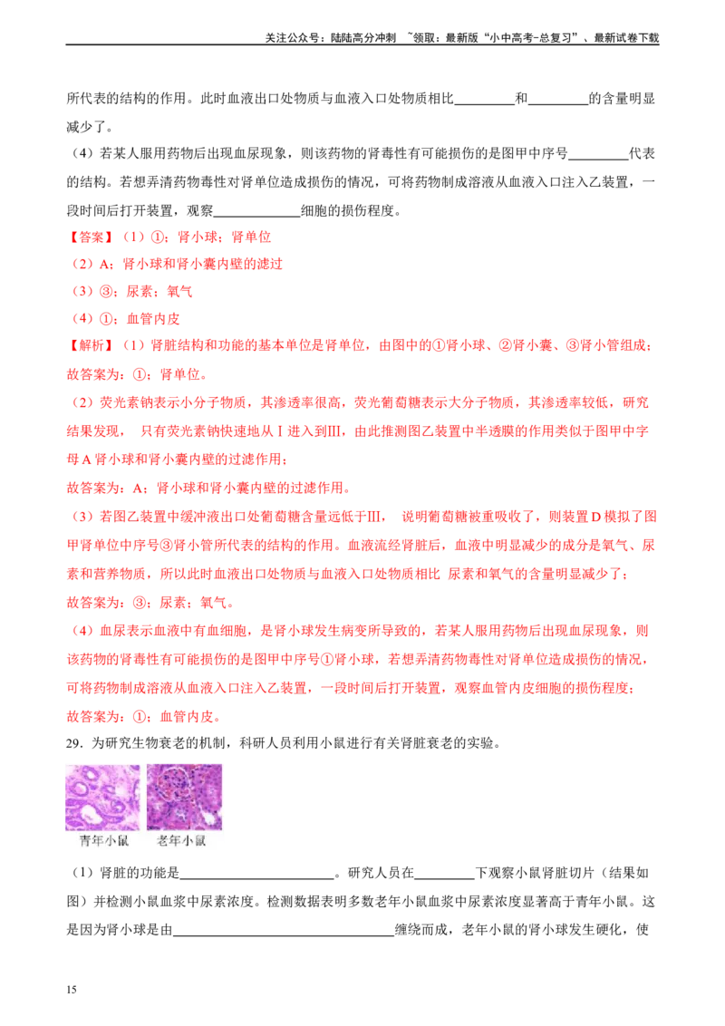 专题13人体内废物的排出（习题精练）-省心备考2024年中考生物一轮复习精讲精练（全国通用）（解析版）_02中考总复习（2026版更新中）_08-生物-中考总复习_2024年中考复习资料