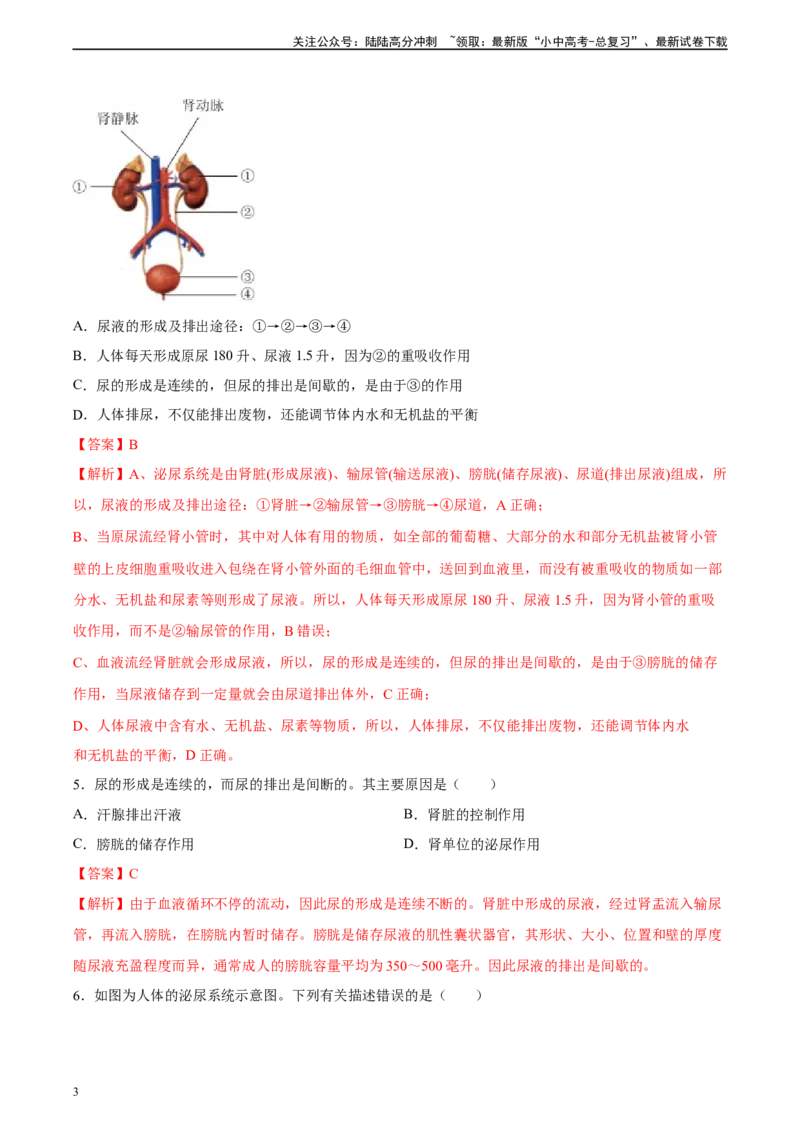 专题13人体内废物的排出（习题精练）-省心备考2024年中考生物一轮复习精讲精练（全国通用）（解析版）_02中考总复习（2026版更新中）_08-生物-中考总复习_2024年中考复习资料