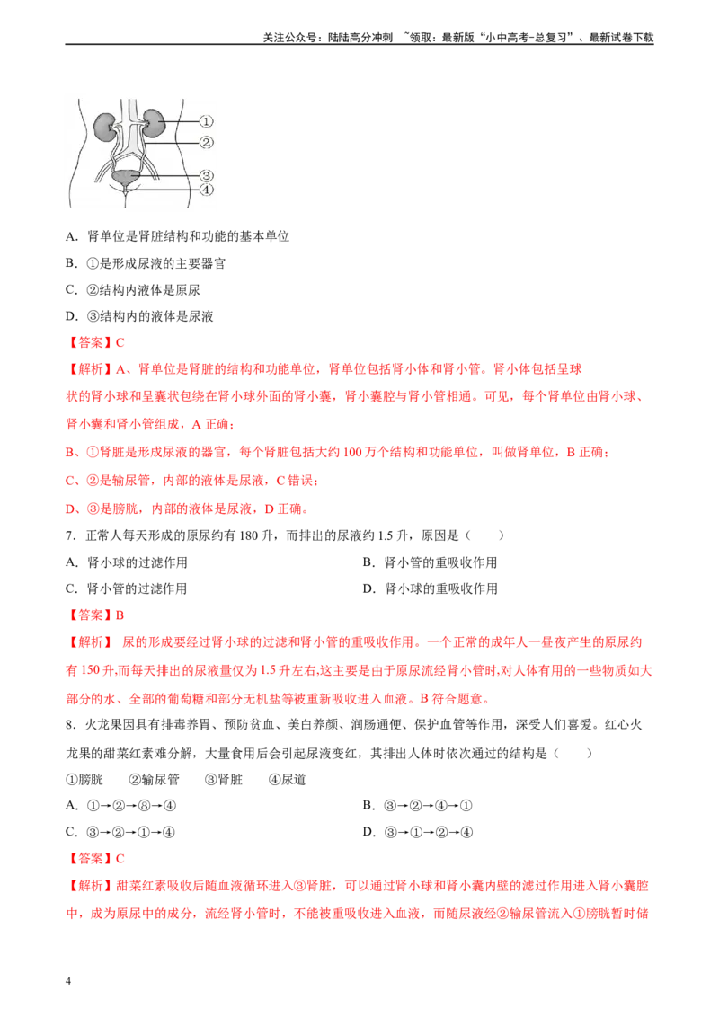 专题13人体内废物的排出（习题精练）-省心备考2024年中考生物一轮复习精讲精练（全国通用）（解析版）_02中考总复习（2026版更新中）_08-生物-中考总复习_2024年中考复习资料