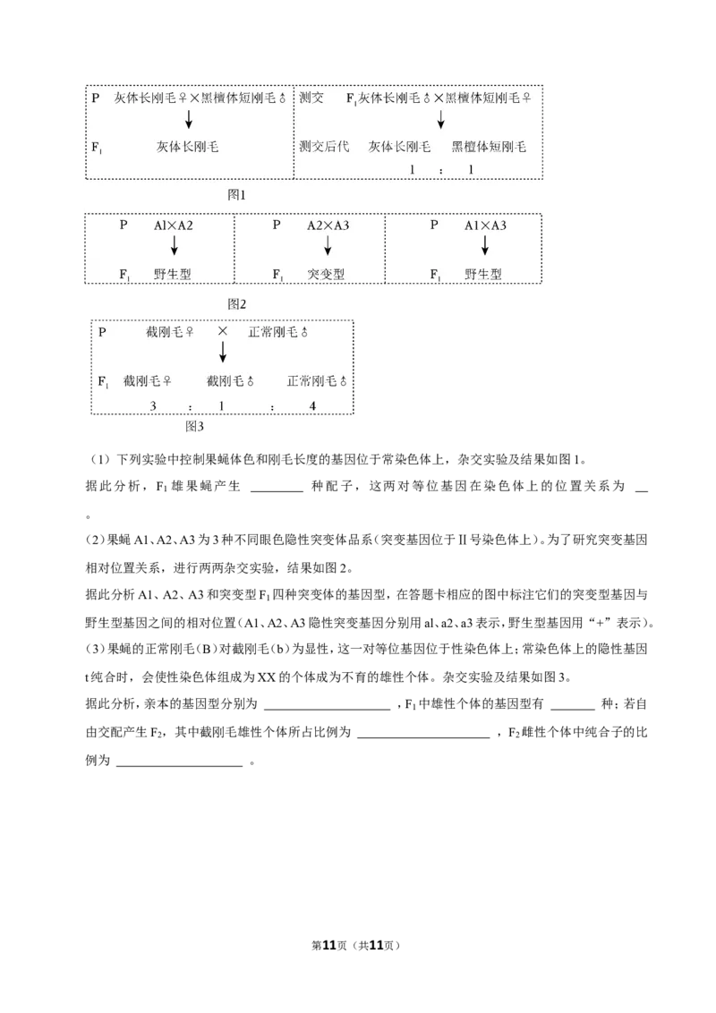 2023年高考生物真题（江苏自主命题）（原卷版）_全国卷+地方卷_6.生物_1.生物高考真题试卷_2023年高考-生物_2023年江苏自主命题