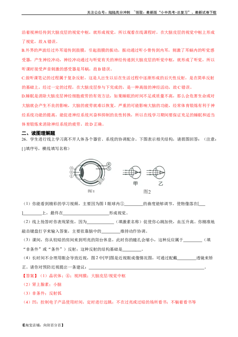 专题14人体生命活动的调节（习题精练）-省心备考2024年中考生物一轮复习精讲精练（全国通用）（解析版）_02中考总复习（2026版更新中）_08-生物-中考总复习_2024年中考复习资料