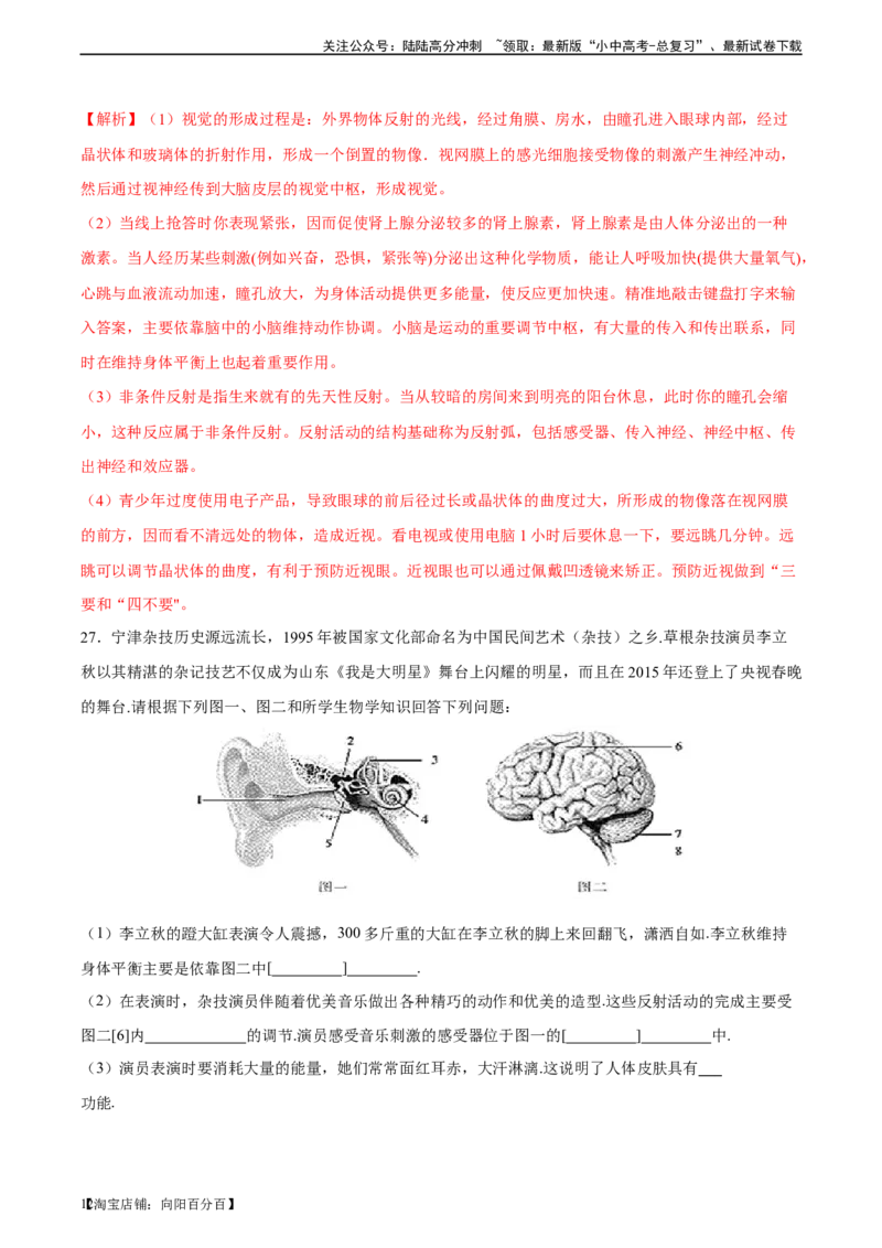 专题14人体生命活动的调节（习题精练）-省心备考2024年中考生物一轮复习精讲精练（全国通用）（解析版）_02中考总复习（2026版更新中）_08-生物-中考总复习_2024年中考复习资料